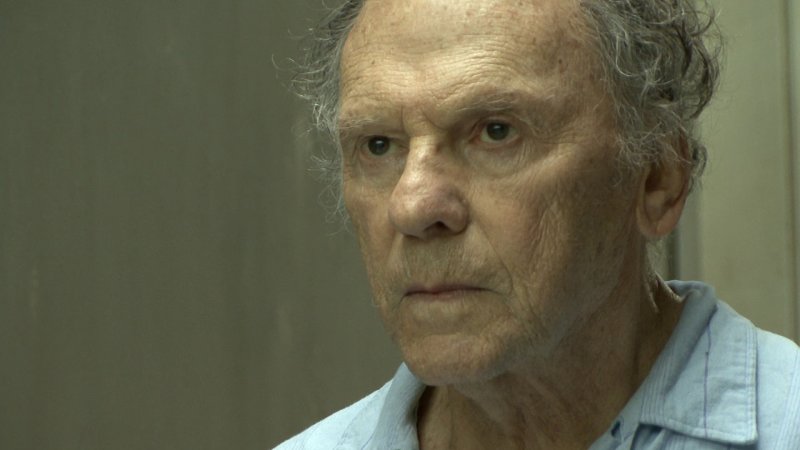 Michael Haneke. Zawód: reżyser