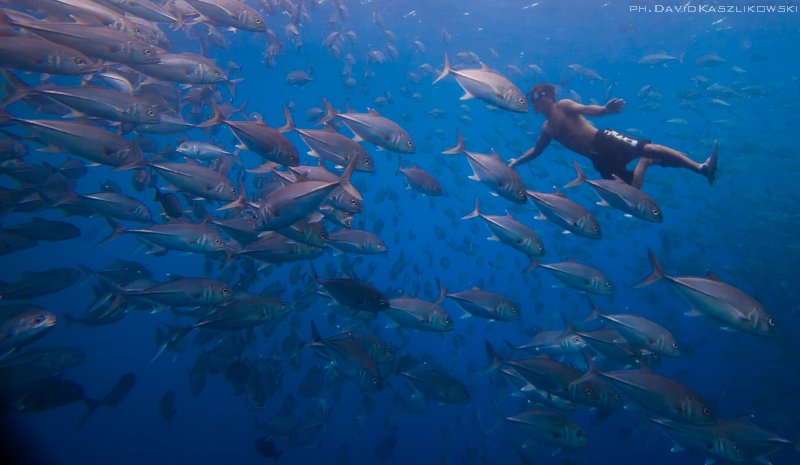 Badjao. Duchy z morza