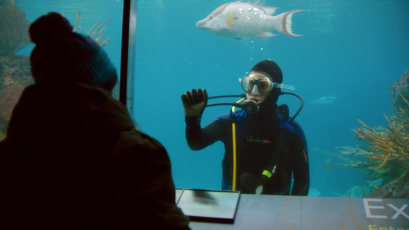 Uciekinier z Nowego Jorku