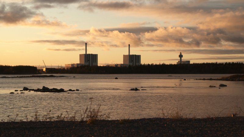 Szukając idealnego schronu